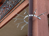 Particolare di sicurezza foto08